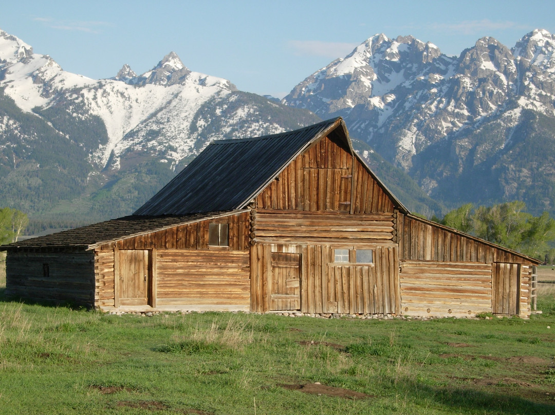 BrushBuck Wildlife Tours-杰克逊必去景点