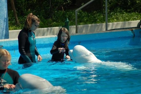 圣安东尼奥海洋世界-圣安东尼奥市必去景点