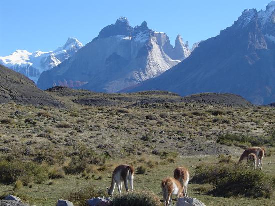 Torres Del Paine National Park景点图片