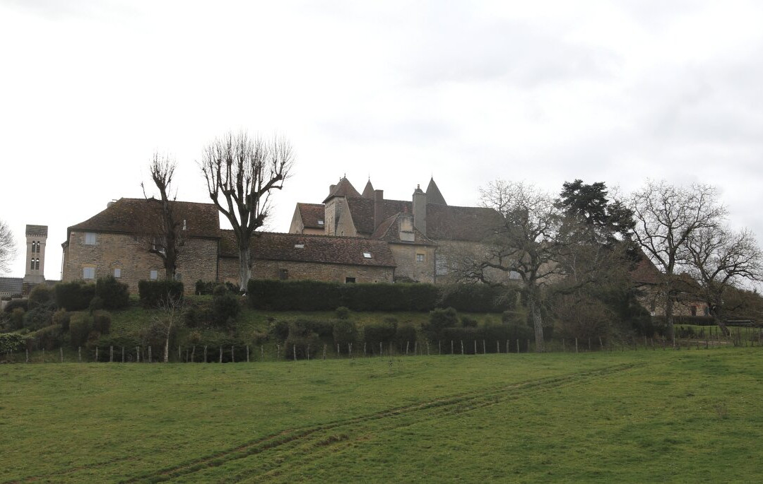 Le château de Savianges景点图片