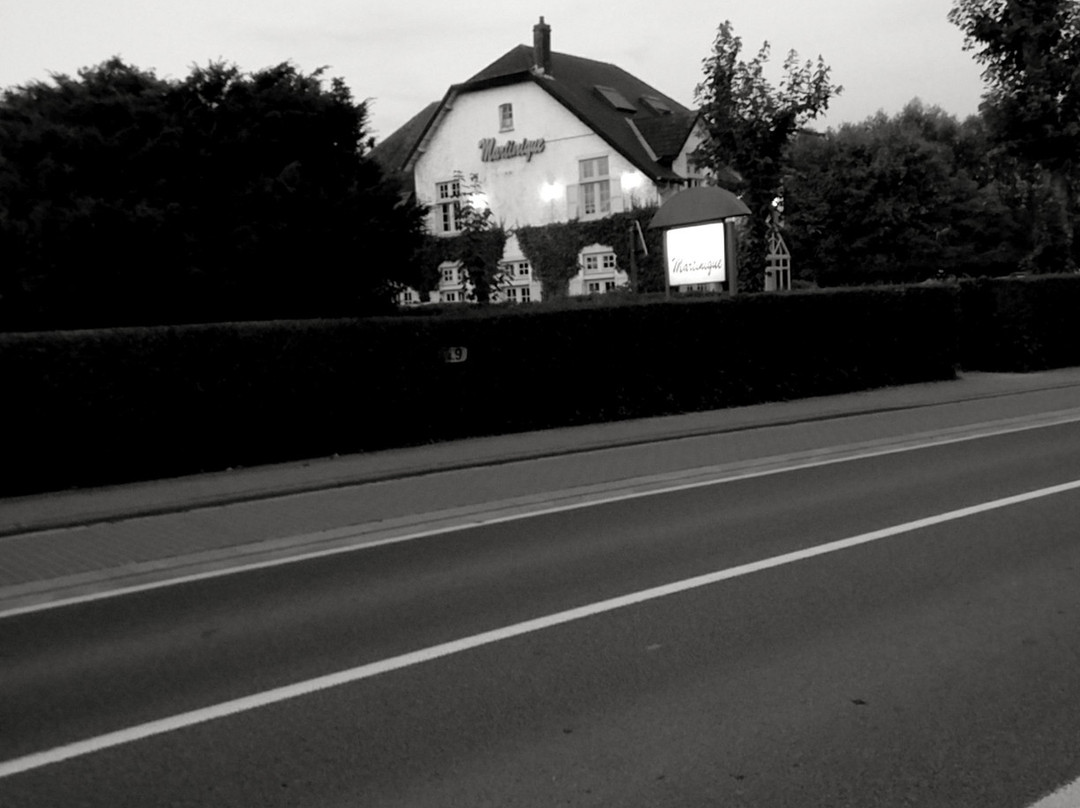 Mannekensvere餐馆和美食-Martinique