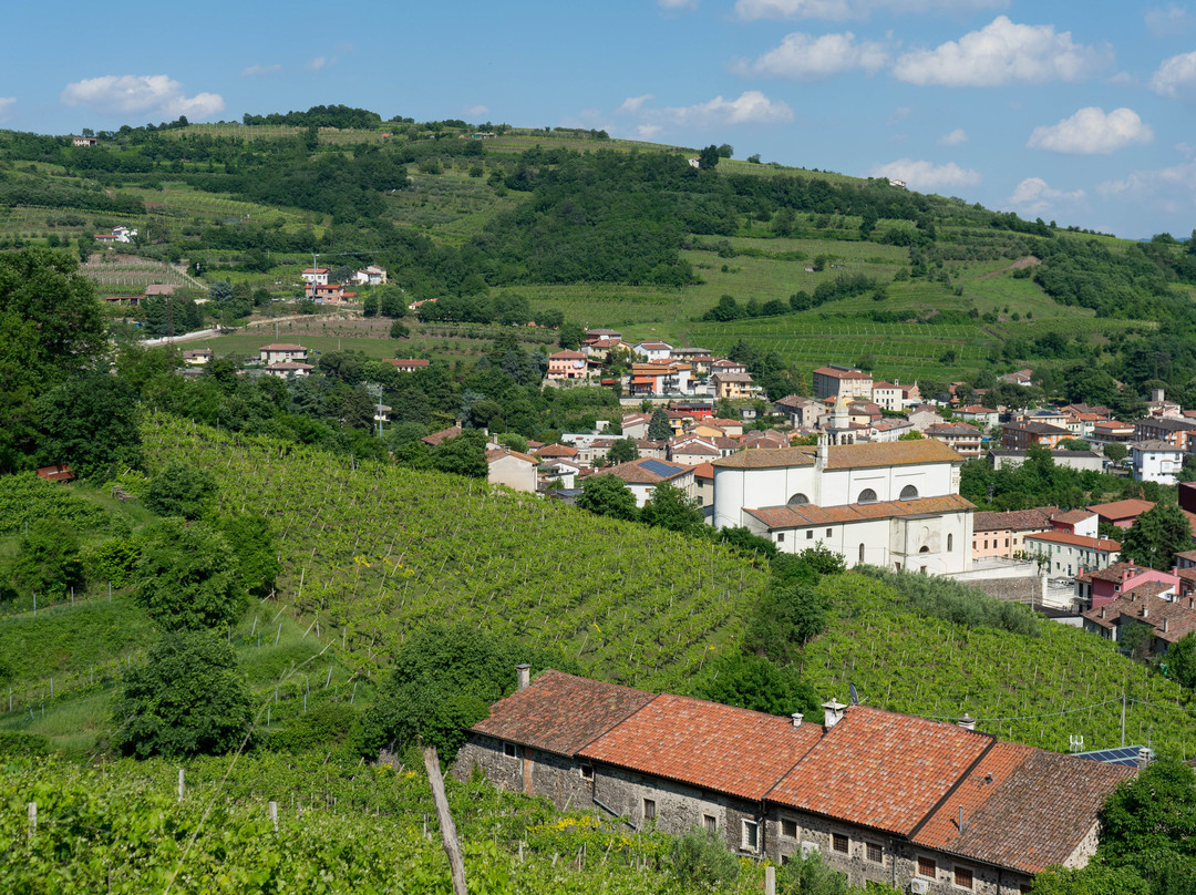 Cantina Giovanni Menti景点图片