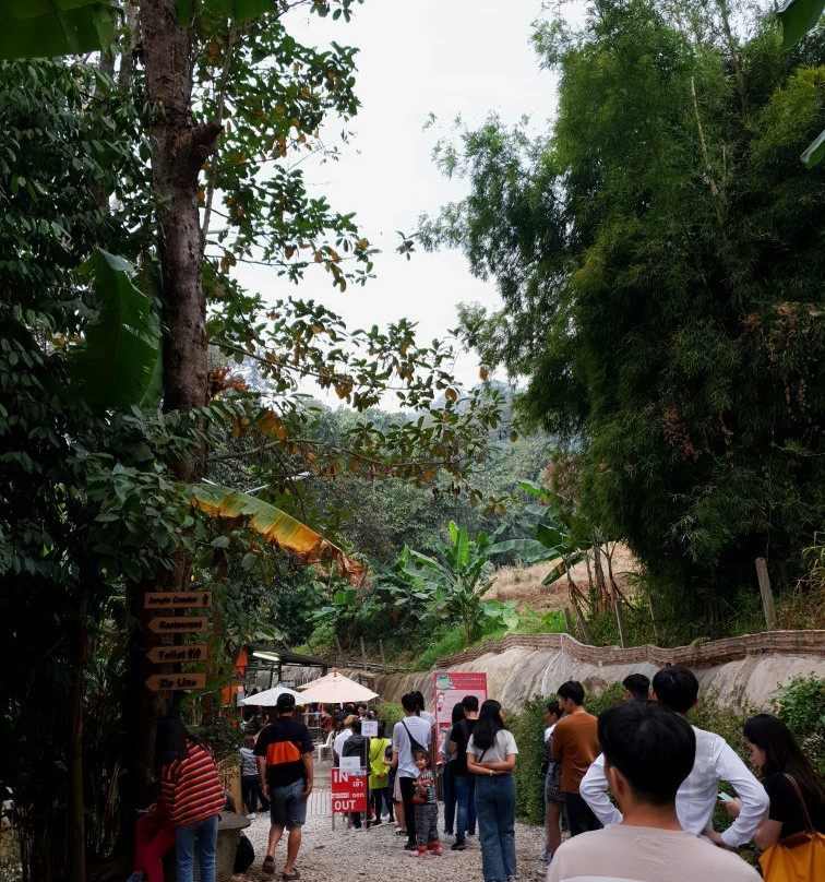 Monjam Zipline Adventure-夜林必去景点