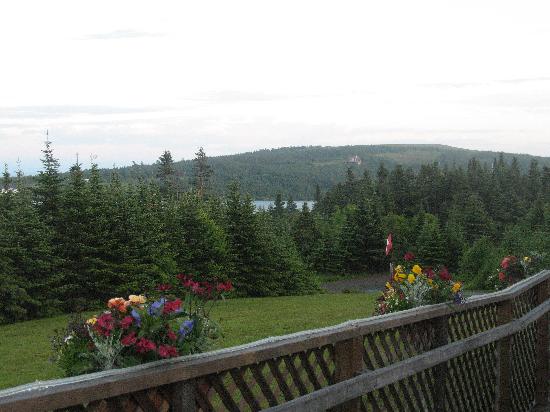 Bayview Country Inn-官方