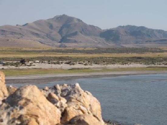 羚羊岛州立公园-Syracuse必去景点