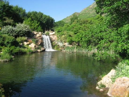 Red Butte Garden-盐湖城必去景点