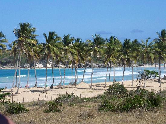 Punta Cana Excursions-蓬塔卡纳必去景点