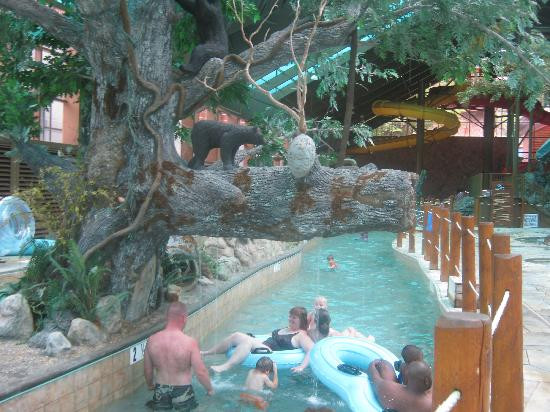 Wild Bear Falls Water Park-盖林柏格必去景点