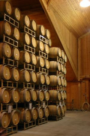 Caymus Vineyards景点图片
