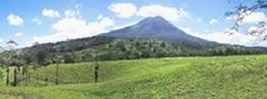 Montana Safari-福德圣卡洛斯必去景点