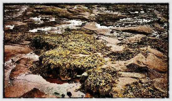 Ministers Island-Saint Andrews必去景点