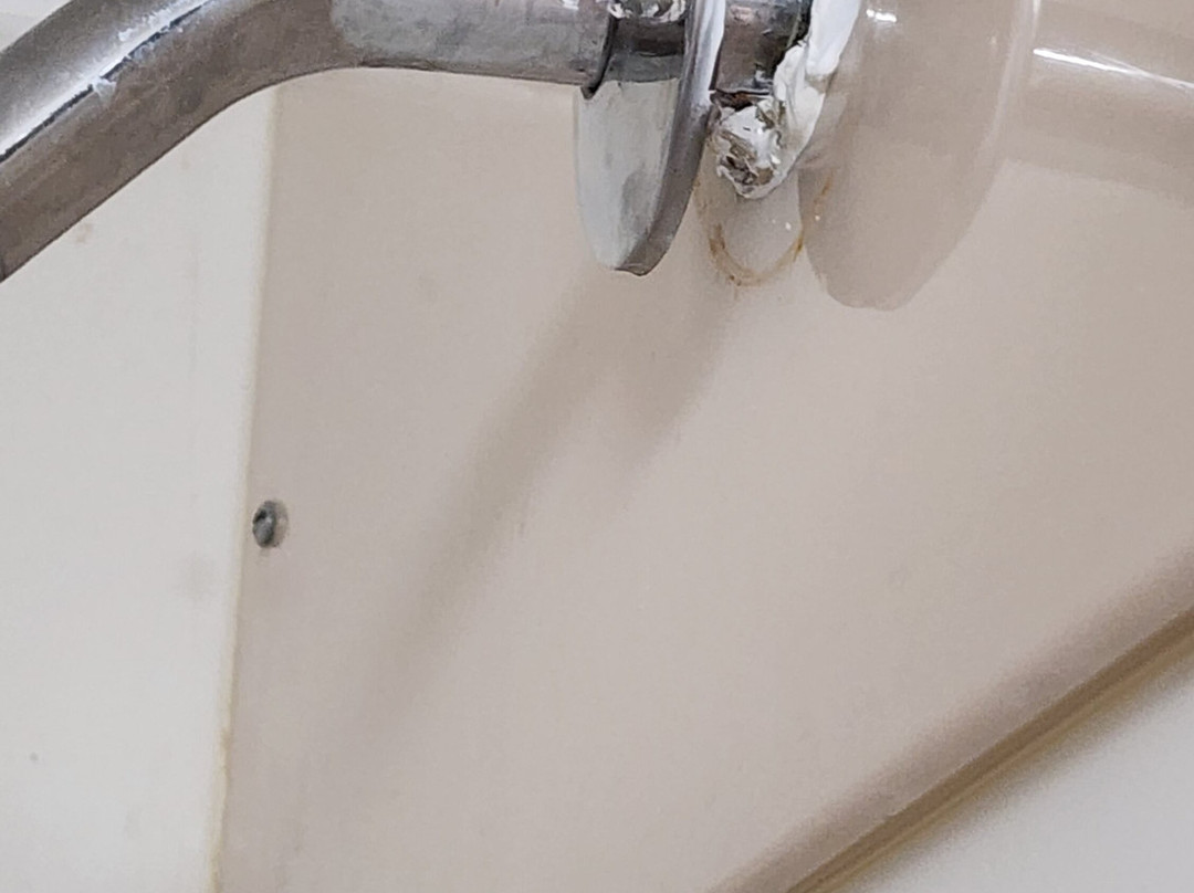 萨拉兰德温德姆呗盟酒店主图