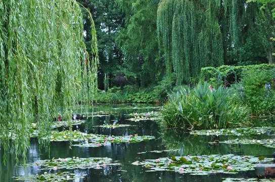 Fat Tire Tours 巴黎单车游-巴黎必去景点