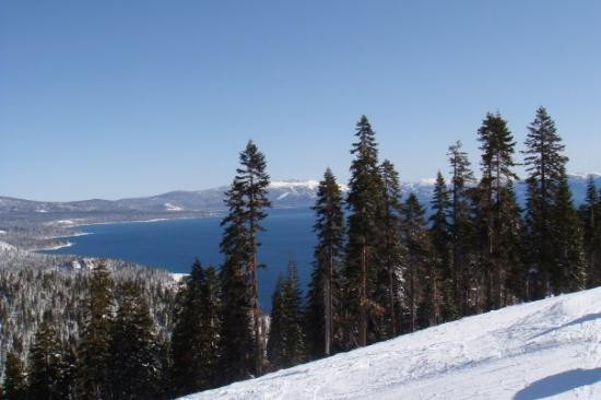 Homewood Mountain Resort景点图片