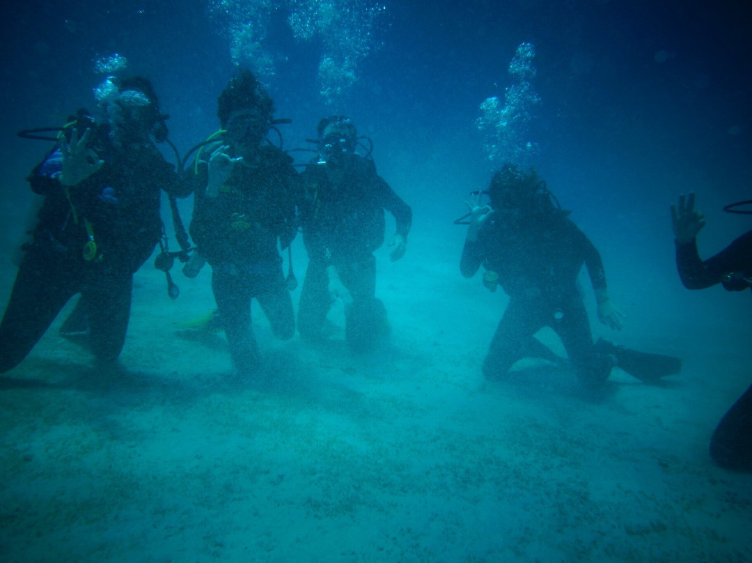 Aquanaut Dive Center-爱妮岛必去景点
