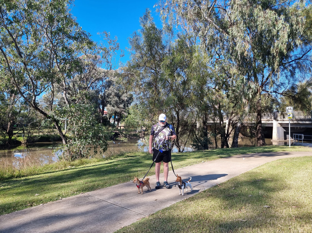 Myall Creek Parklands Walkway景点图片