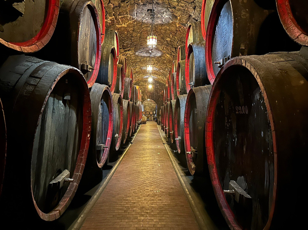 Castello Rametz - Wine Museum景点图片