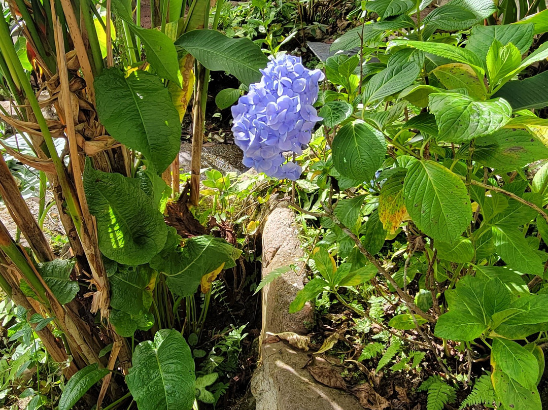 Maripoxa Ecotours-奥克萨潘帕必去景点