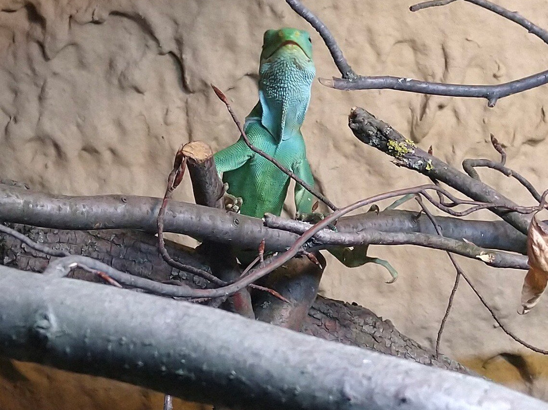 Zoo Jihlava-伊赫拉瓦必去景点