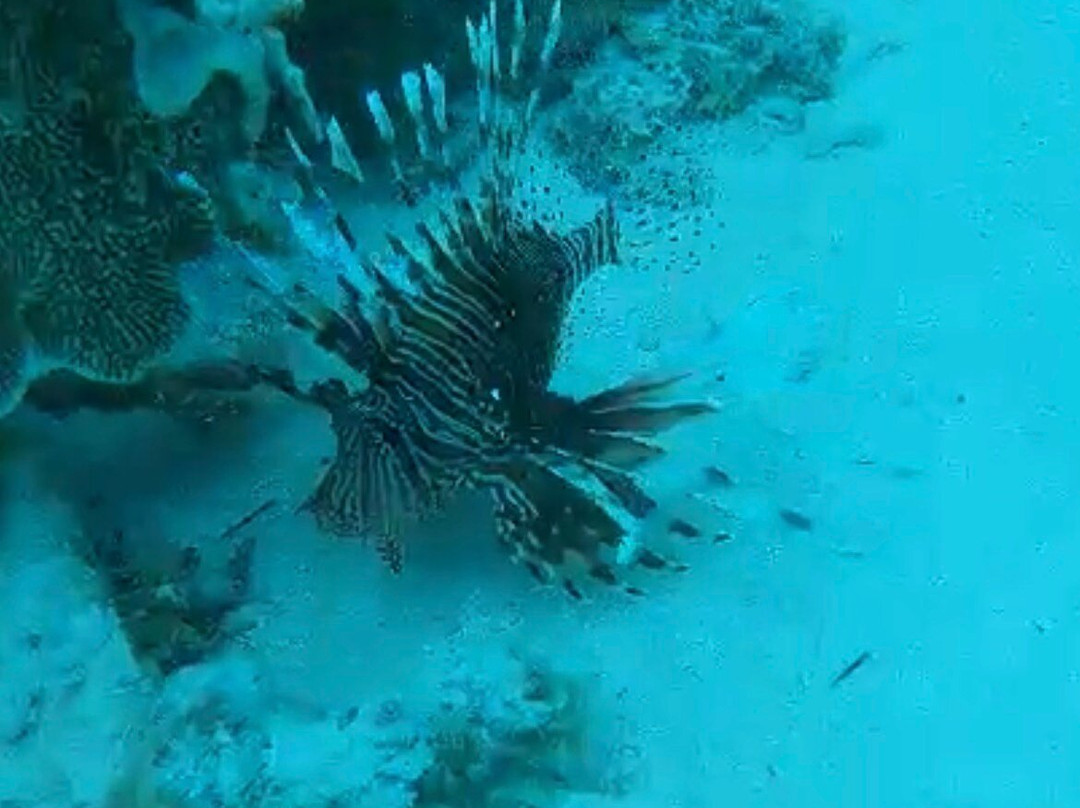 Kirinda Heaven - Yala主图