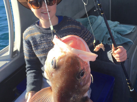 Rampant Charters-纳皮尔必去景点