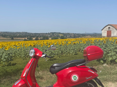 Vertigo Experiences-科尔托纳必去景点