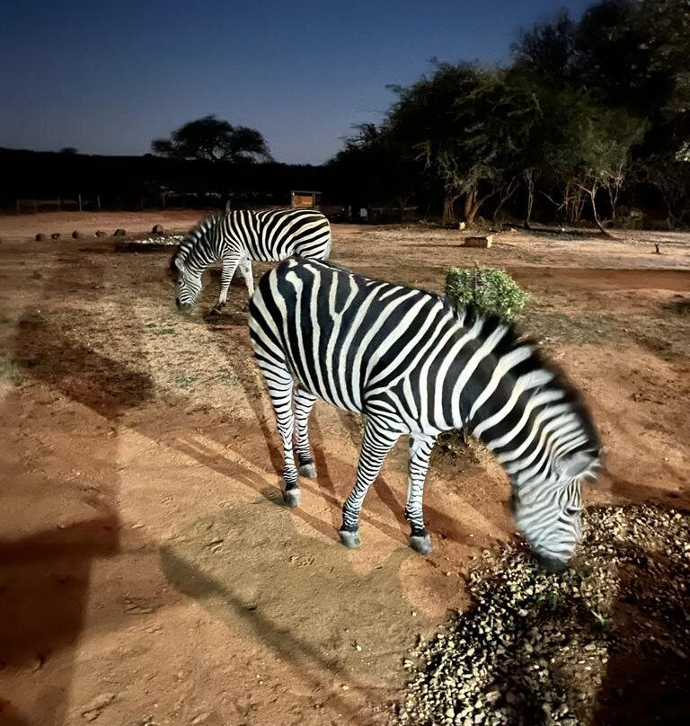 South Post at Kruger-克鲁格国家公园必去景点