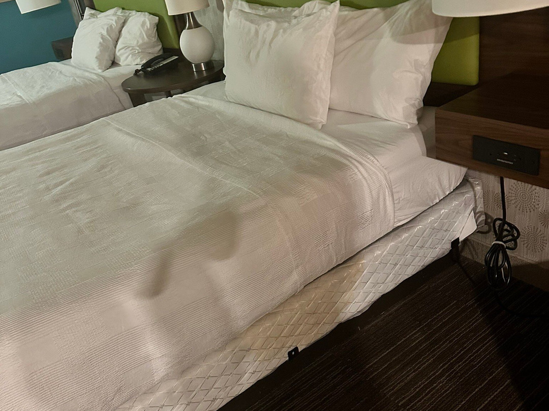 Home2 Suites Roanoke Airport主图