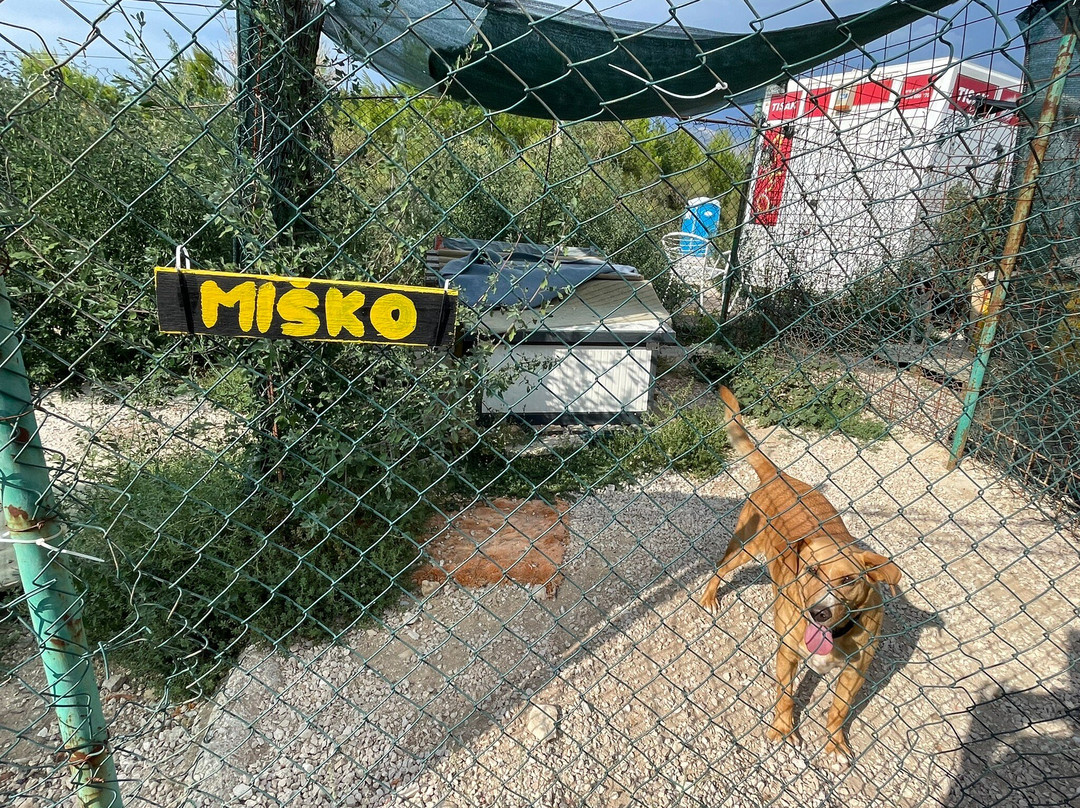 Zarkovica Animal Shelter-杜布罗夫尼克必去景点