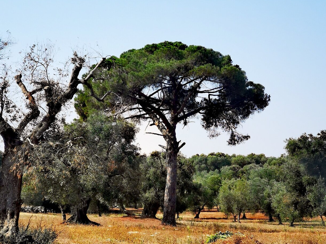 德米特民宿主图