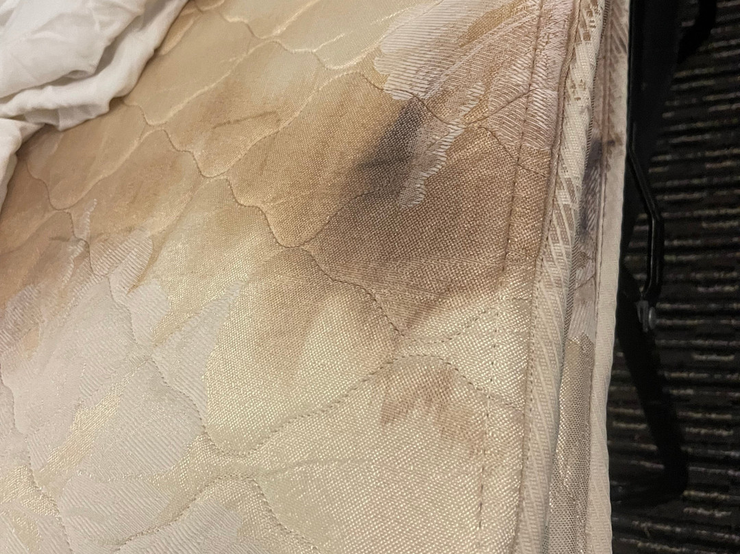 La Quinta Inn & Suites by Wyndham Orlando Lake Mary主图