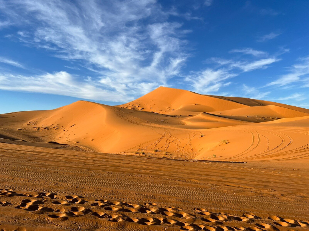 Saharies-马拉喀什必去景点
