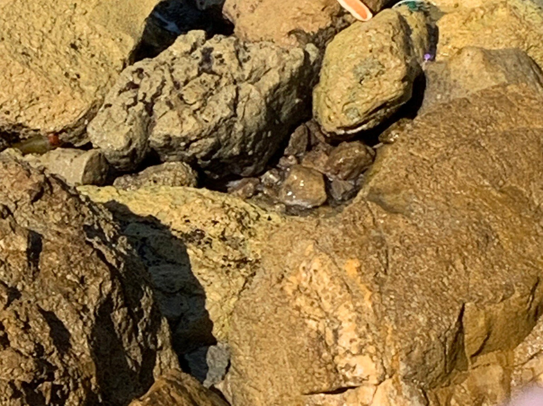 Tayelet Homot Hayam-雅法必去景点