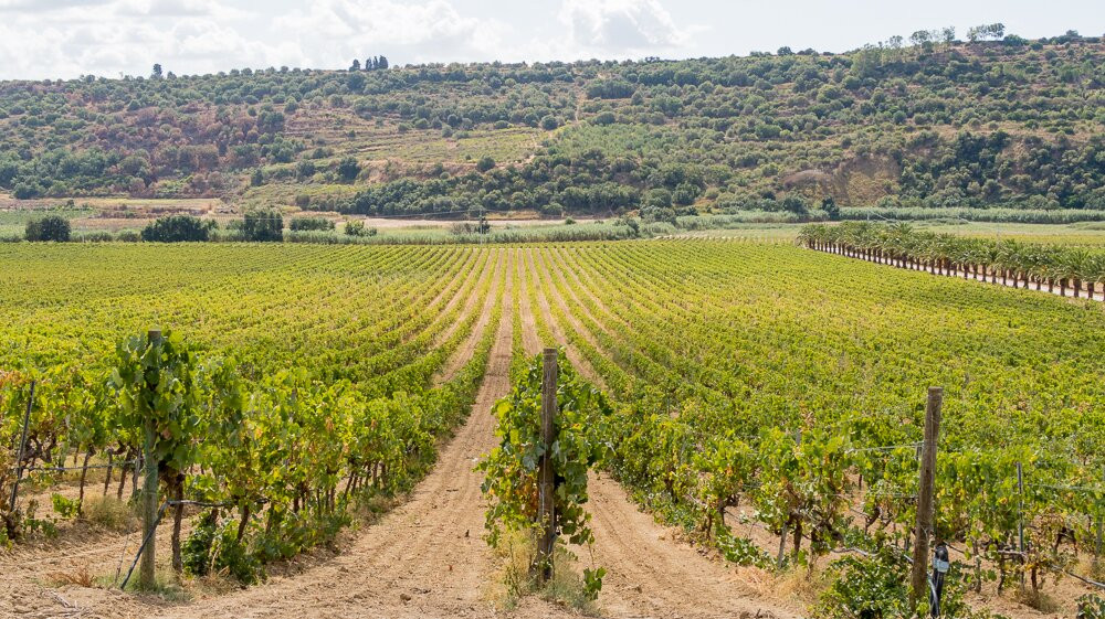 VALLE DELL'ACATE-Acate必去景点