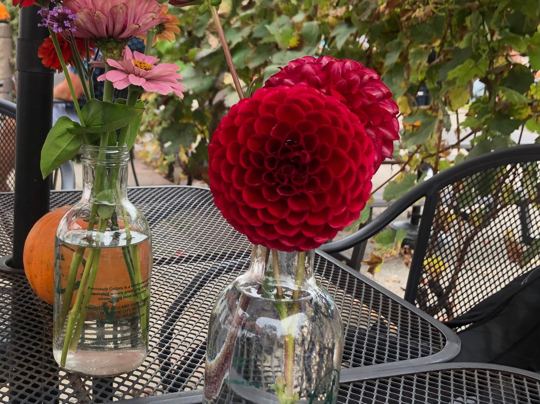 Peninsula Cellars-特拉弗斯城必去景点