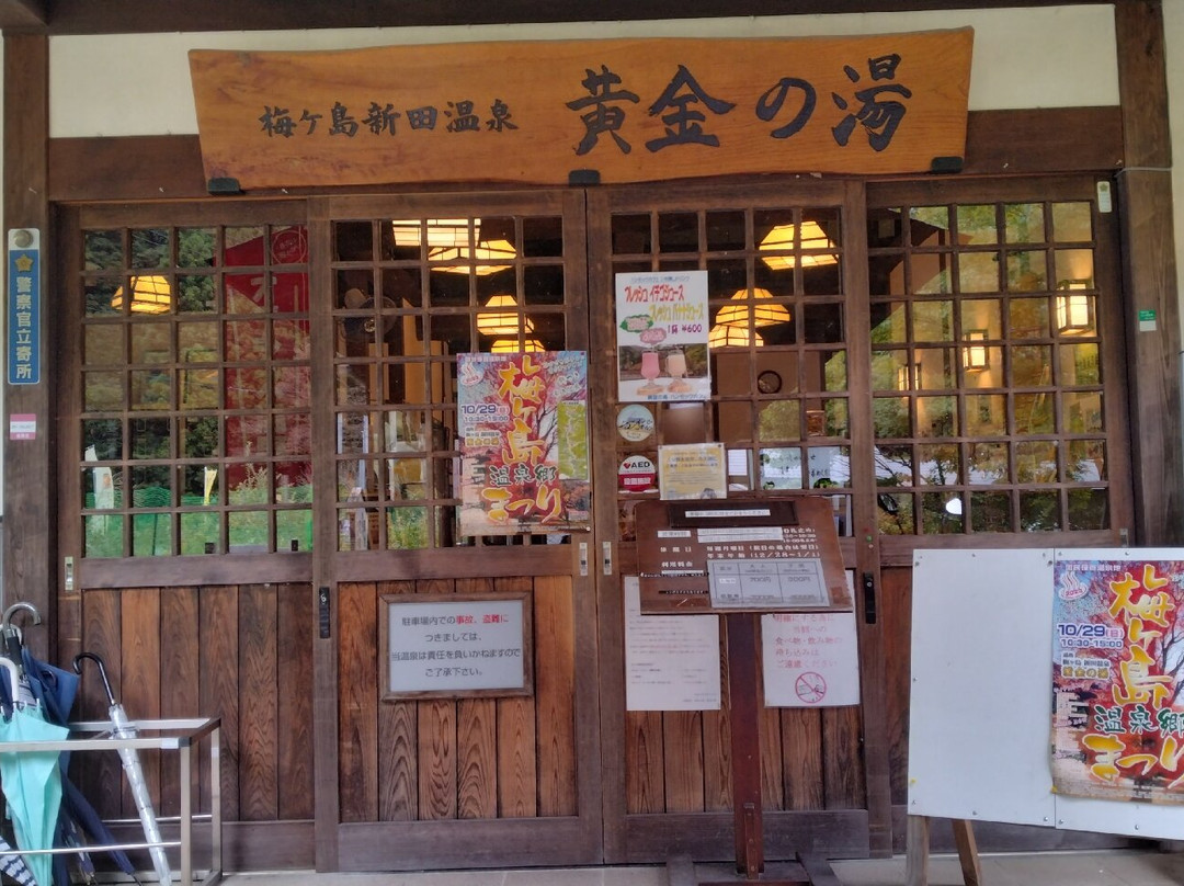 Umegashima Shinden Onsen Koganenoyu-静冈市必去景点