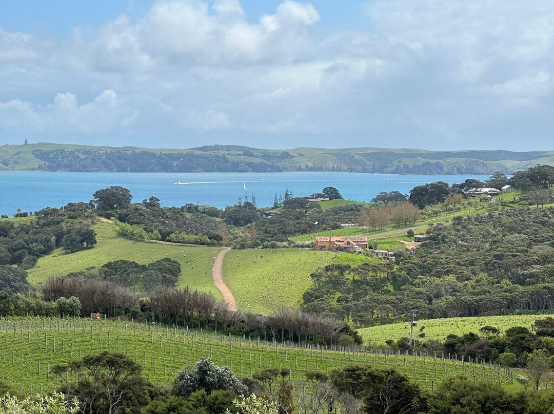 Waiheke Island Wine Tours景点图片