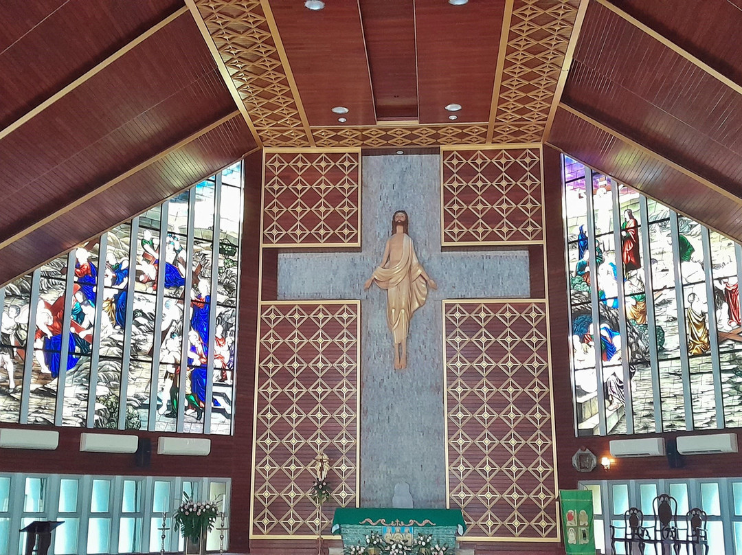 Our Lady of Lourdes Cathedral景点图片