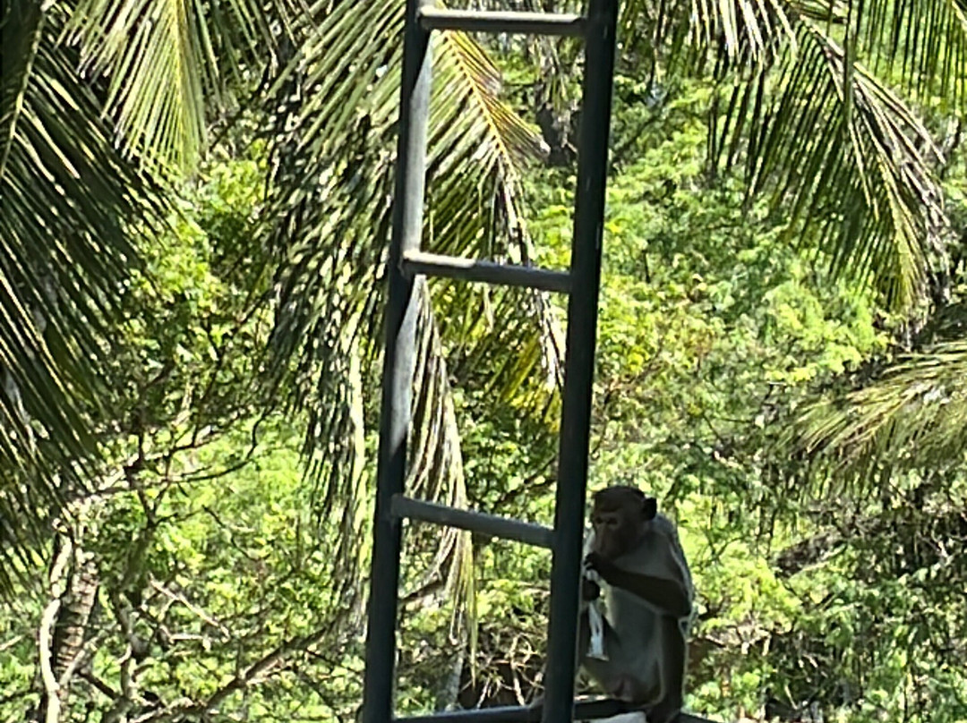 孔雀海滩酒店主图