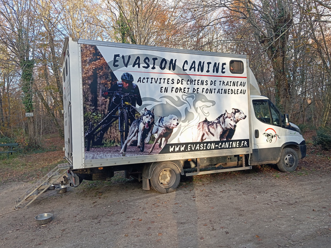 Evasion Canine景点图片