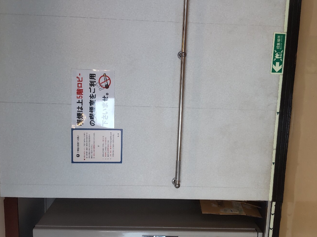 A-Line Ferry-奄美市必去景点