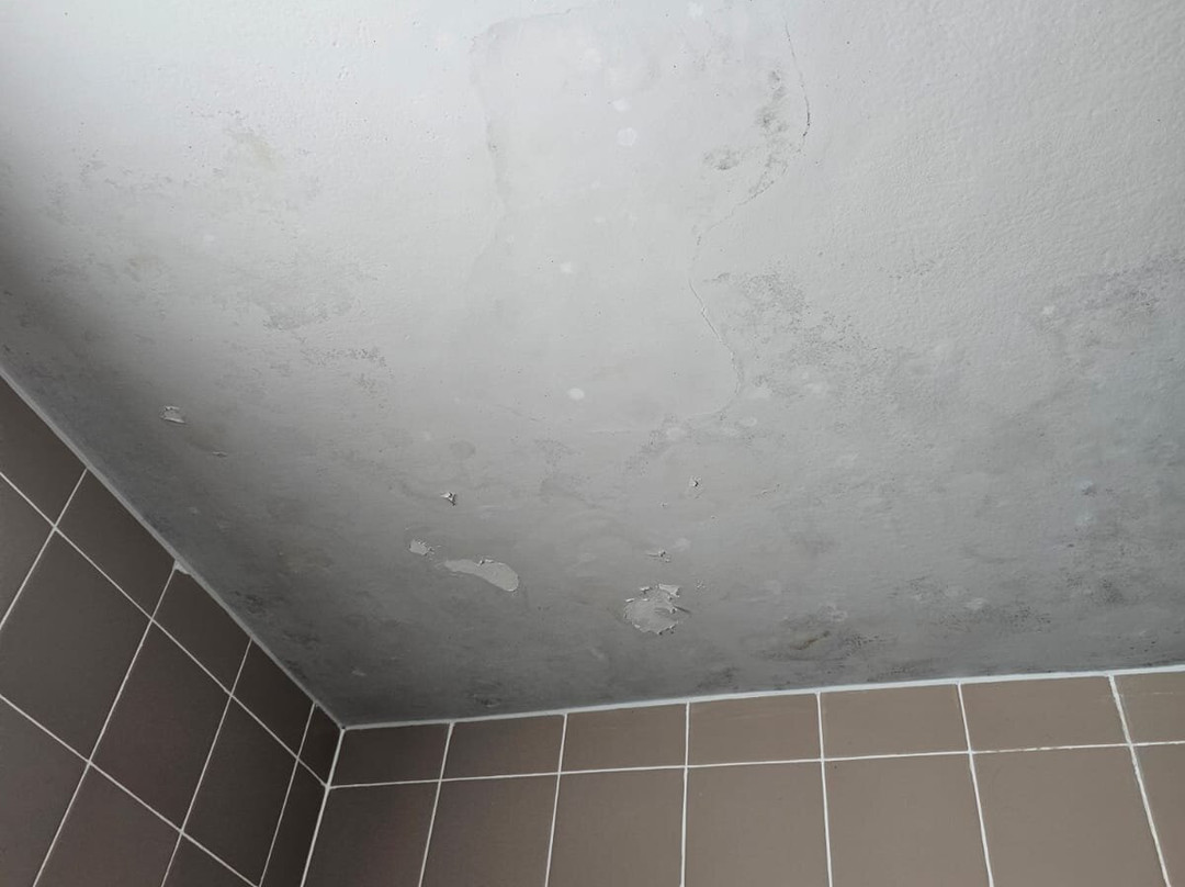 Grande Hotel De Ouro Preto主图