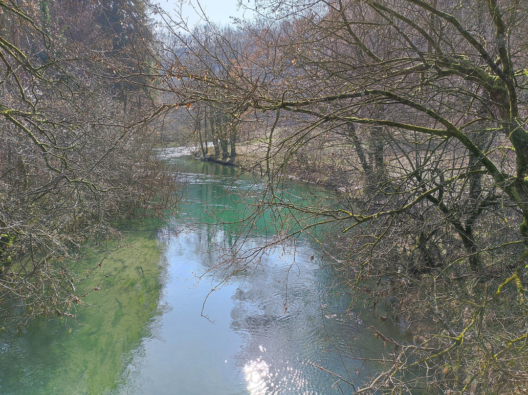 Močilnik