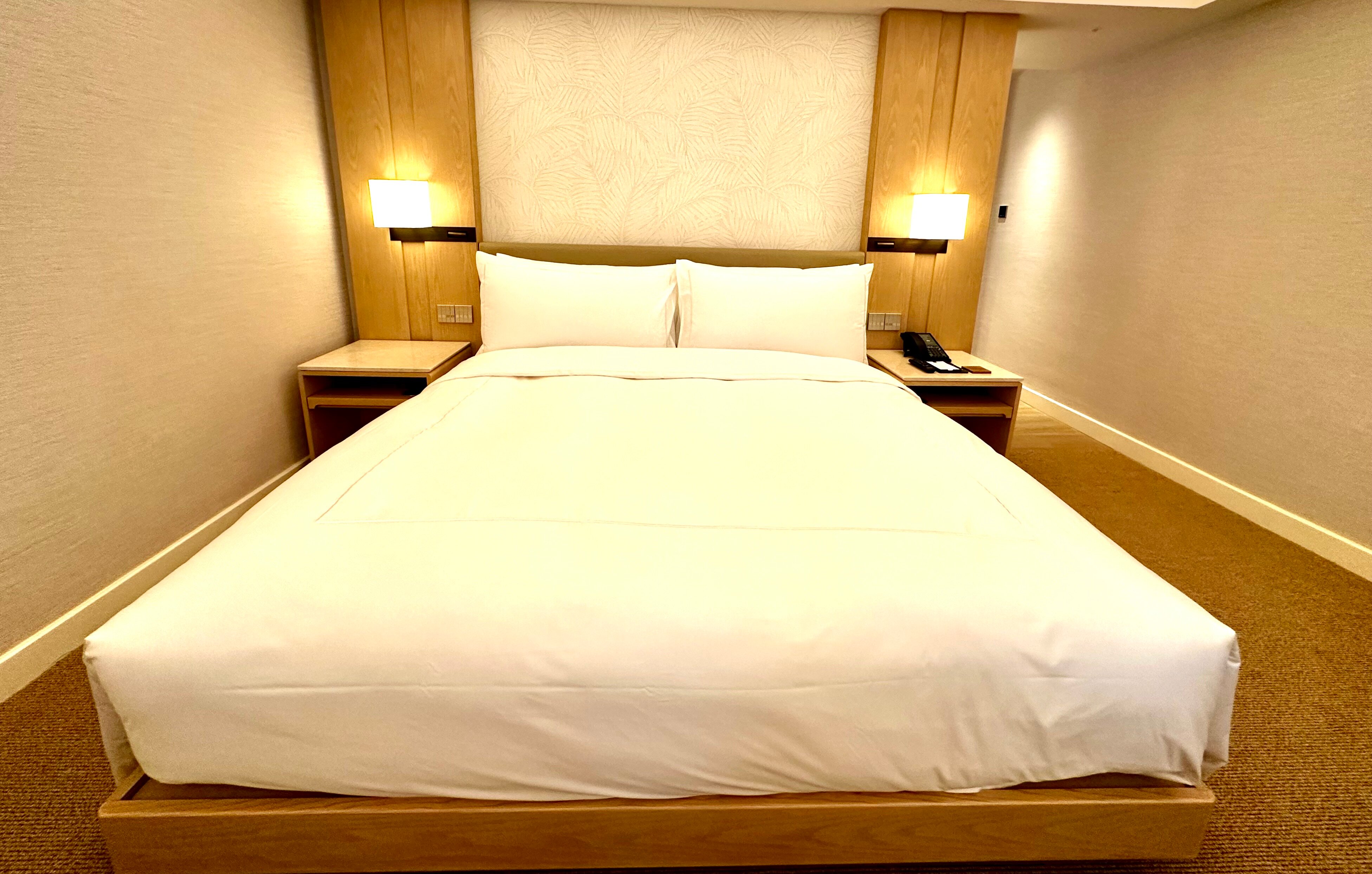 Conrad Singapore Orchard-客卧