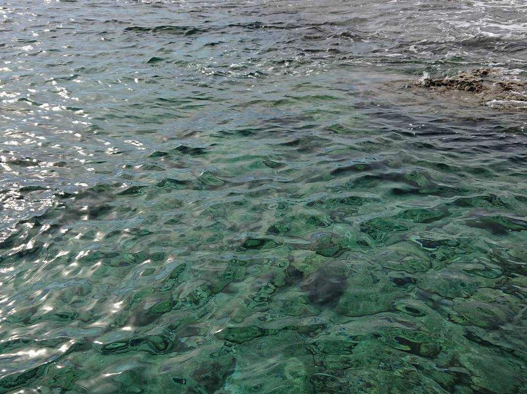 TD Diving-利马索尔必去景点