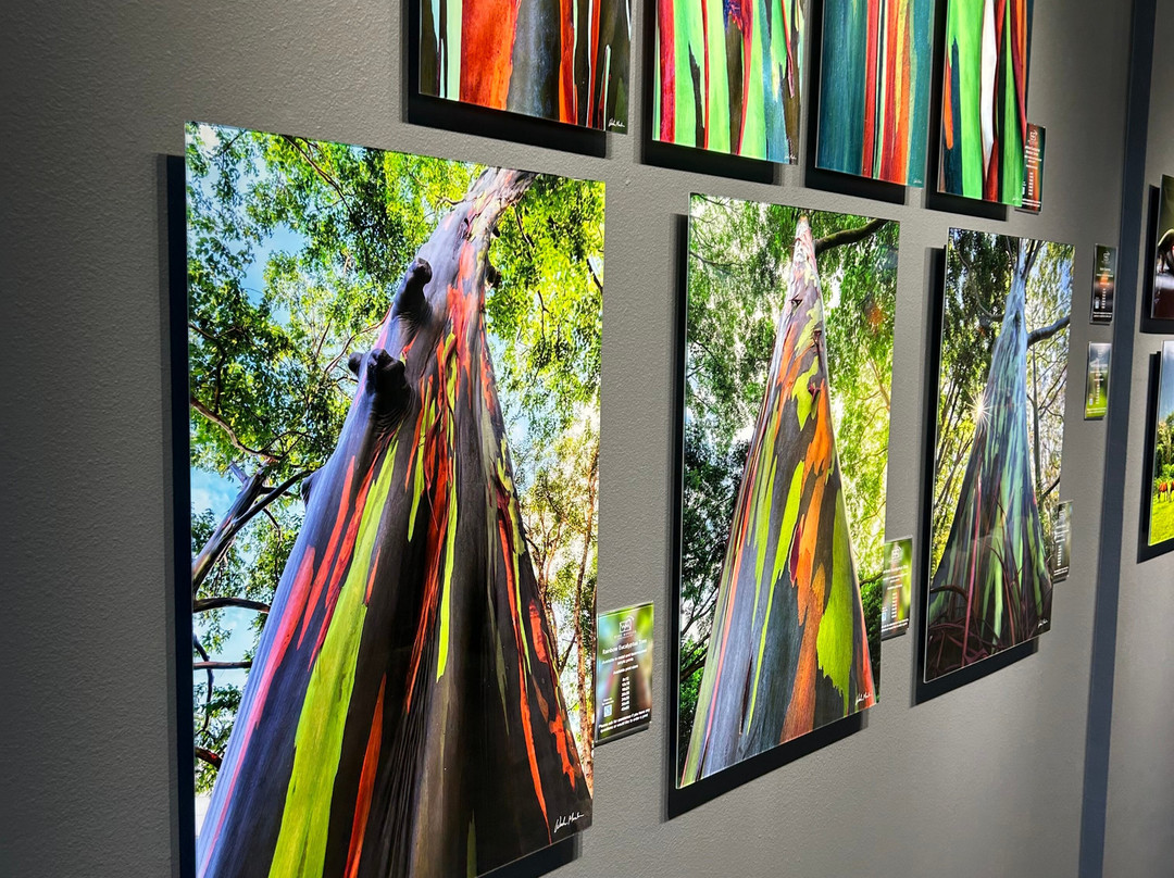 Wade Morales Photography Gallery-希洛必去景点