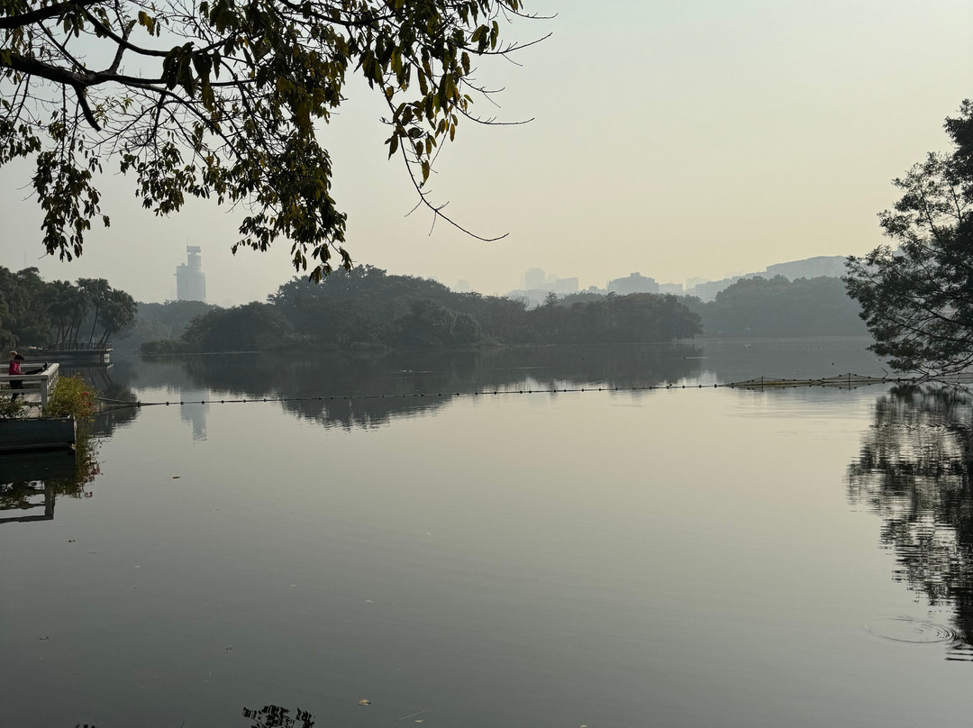 流花湖公园景点图片