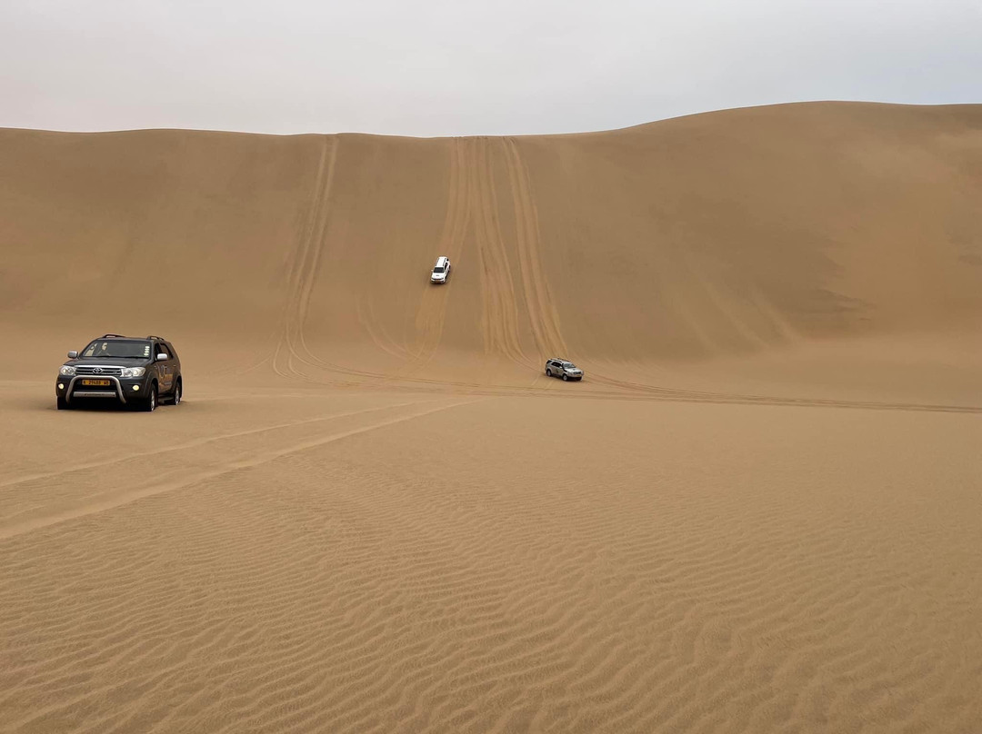 MC Tours-华维斯湾必去景点