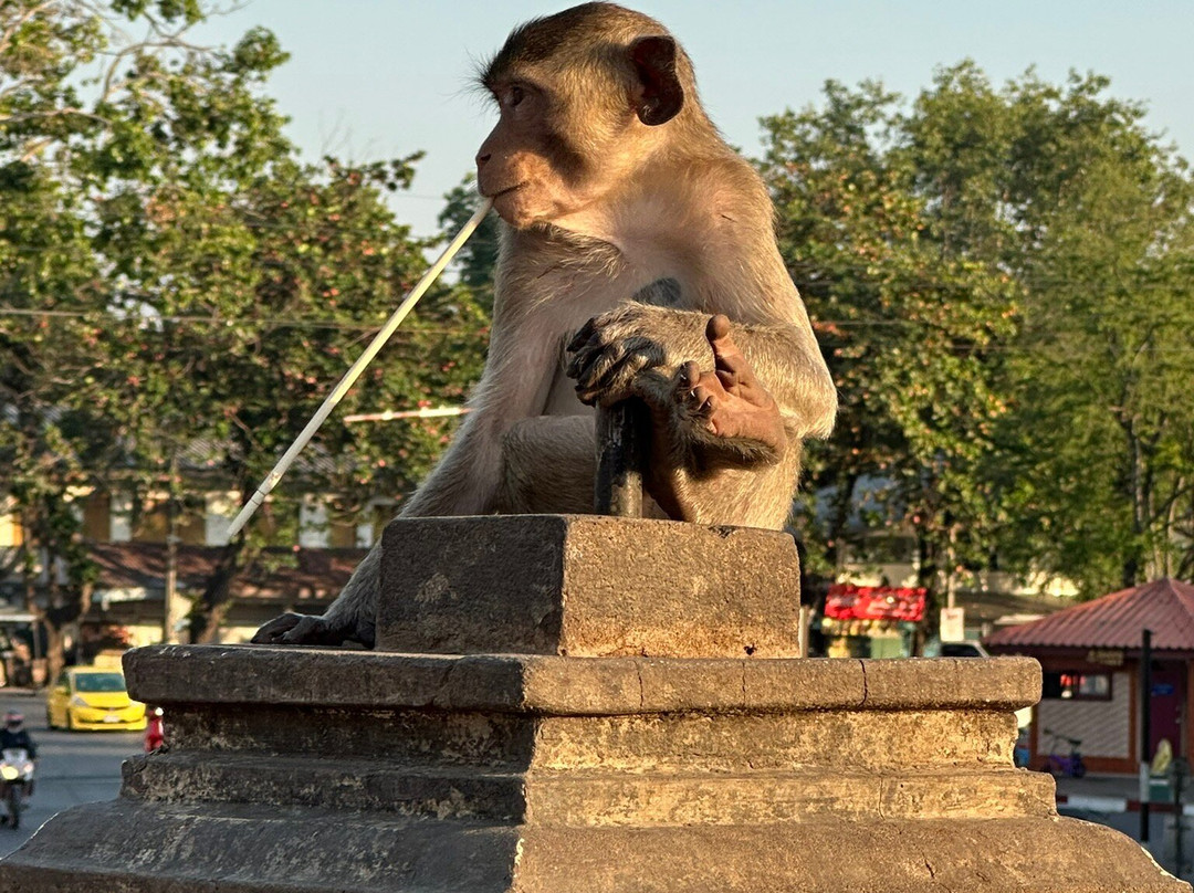 Phra Prang Sam Yot景点图片