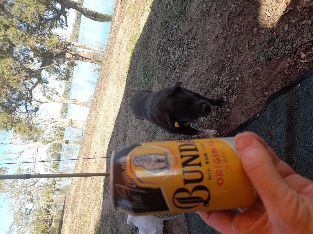 Wooroonook Lakes-Charlton必去景点